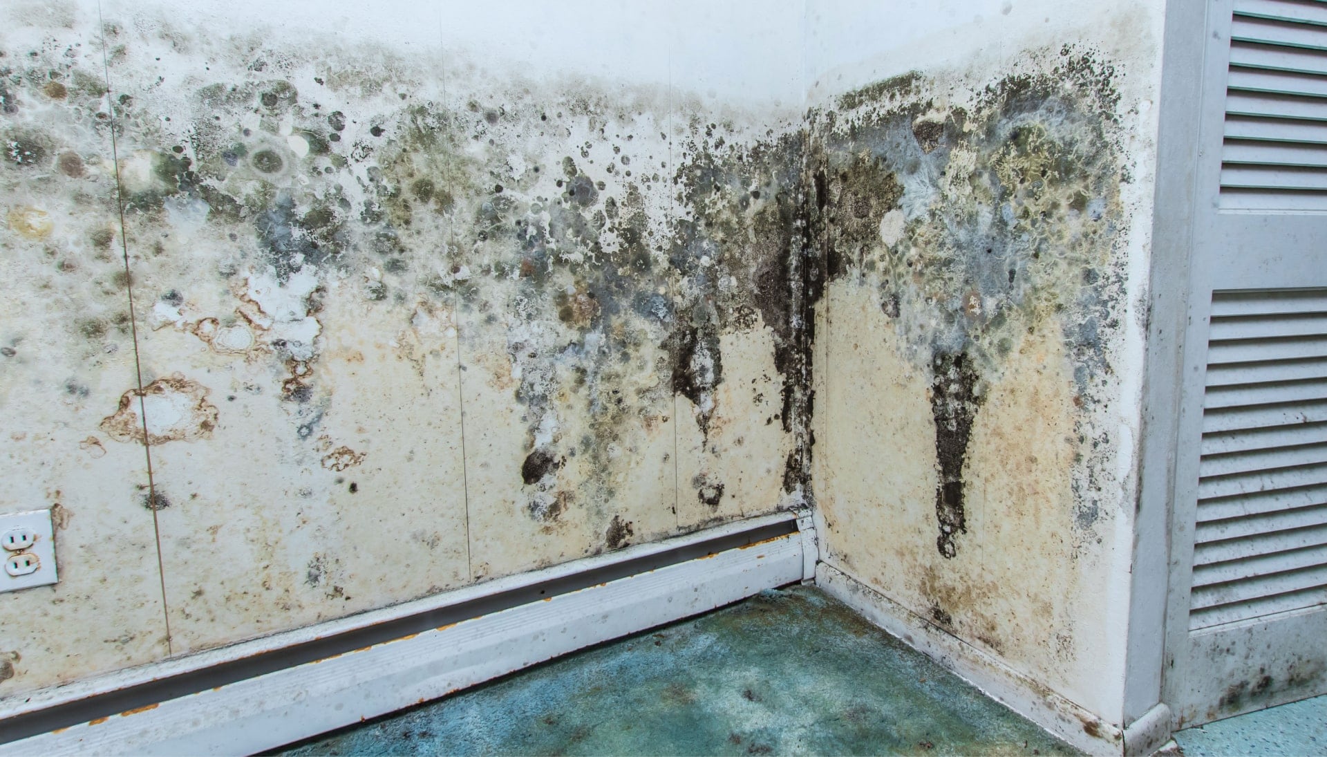 Mold-Damager-Odor-Control in Redondo Beach